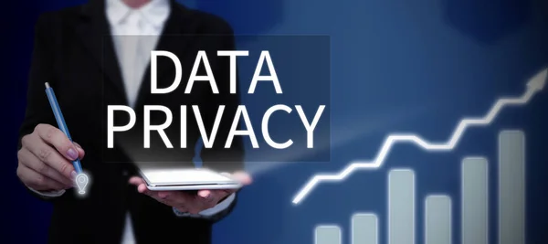 Veri Mahremiyeti Genel Görünümü Nternet Güvenliği Nternet Sitesinin Dijital Korumasını — Stok fotoğraf