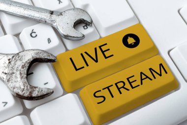 İnternet kullanımı ile bir video veya ses materyali yayınlamak için ilham kaynağı olan Live Stream, Business showcase metni