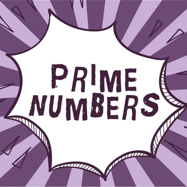 Visualizzazione Concettuale Prime Numbers Business Overview Intero Positivo Contenente Fattori — Foto Stock