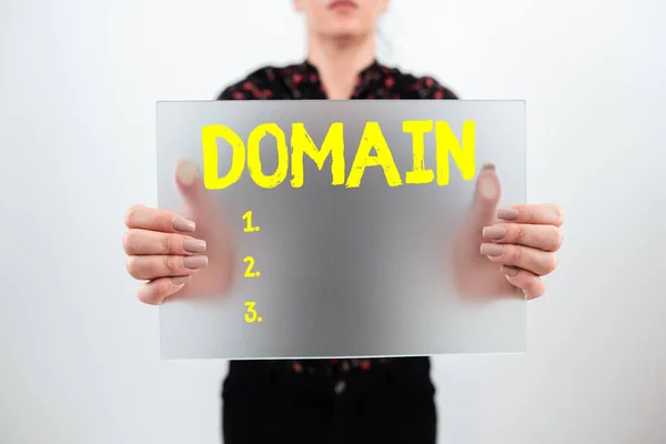 Textzeichen Das Domain Business Overview Identification String Anzeigt Der Einen — Stockfoto