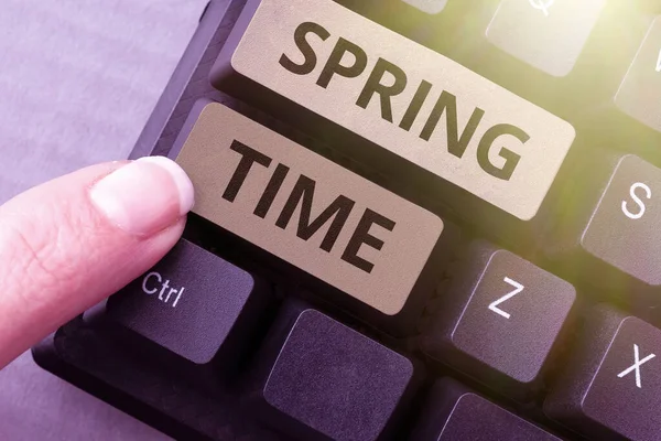 Text Sign Showing Spring Time Word Written Temperate Season Year — Stock Photo, Image