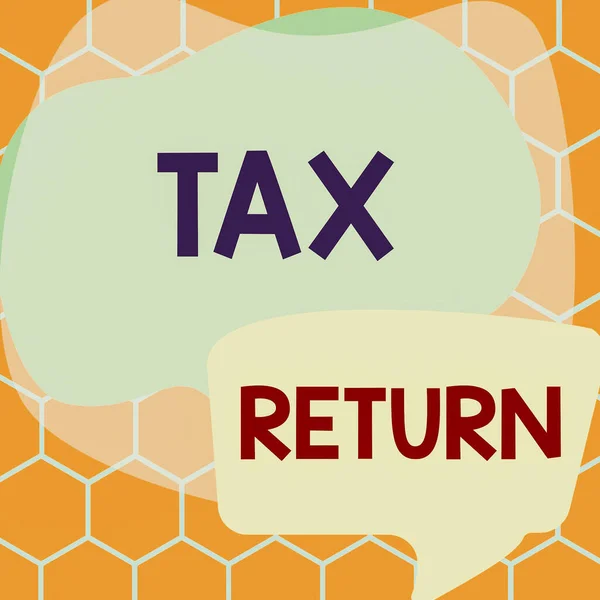 Inspiracja Wykazująca Znak Deklaracji Podatkowej Podejście Biznesowe Które Podatnik Sporządza — Zdjęcie stockowe