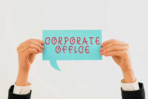 Tekenen Tonen Corporate Office Business Overview Centrale Locatie Voor Planning — Stockfoto