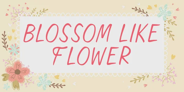 Skriva Visning Text Blossom Flower Internet Begreppet Person Med Goda — Stockfoto