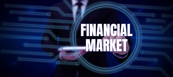 Testo Calligrafico Mercato Finanziario Business Overview Market Cui Sono Rappresentati — Foto Stock