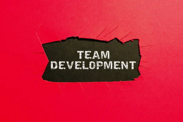 Text Sign Showing Team Development Internet Concept Enhancement Effectiveness Work — Stock Photo, Image