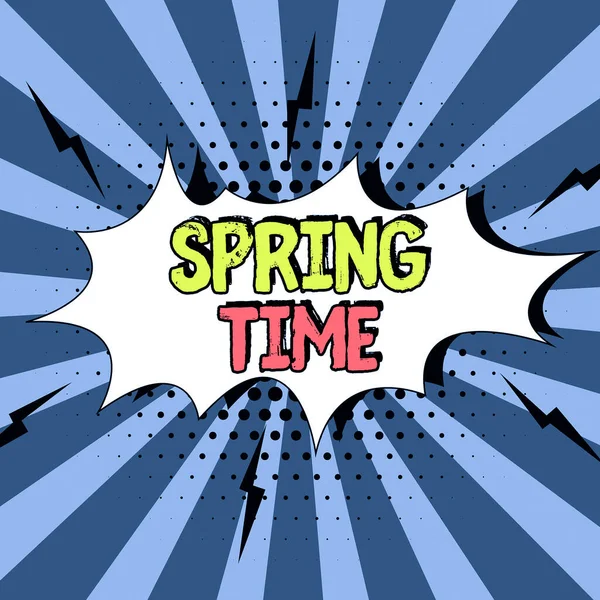 Handschrift Tekst Spring Time Business Idee Gematigd Seizoen Van Het — Stockfoto