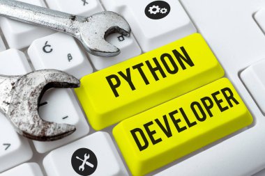 Kavramsal başlık Python Geliştirici, Sunucu tarafındaki web uygulaması mantığının yazılmasından sorumlu Kelime