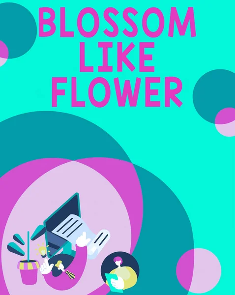 Σύμβολο Κειμένου Δείχνει Blossom Flower Business Βιτρίνα Πρόσωπο Καλές Ιδιότητες — Φωτογραφία Αρχείου
