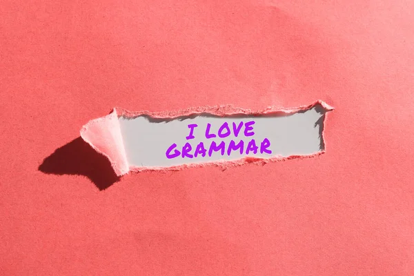 Didascalia Del Testo Che Presenta Love Grammar Concetto Che Significa — Foto Stock