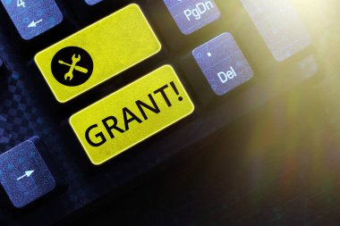 Metin başlığı Grant sunar, İş yaklaşımı Para bir kurum veya hükümet tarafından bir amaç için verilen burs