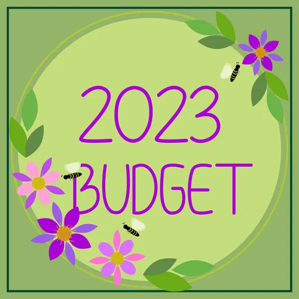 Wyświetlacz Koncepcyjny 2023 Budżet Word Business Plan Finansowy Nowy Rok — Zdjęcie stockowe
