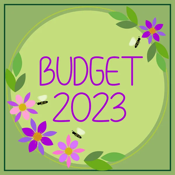 Znak Tekstowy Przedstawiający Budżet 2023 Business Idea Preliminarz Dochodów Wydatków — Zdjęcie stockowe