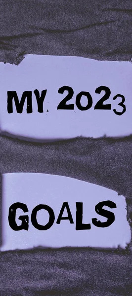 Hand writing sign My 2023 Goals, Business overview setting up personal goals or plans for the current year