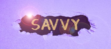 İlham veren Savvy, iş konsepti, pratik konularda algı, anlayış gösteren metin