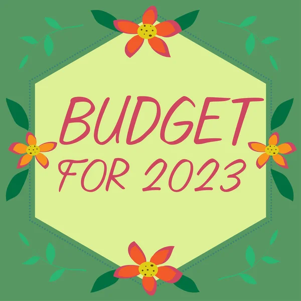 Inspiracja Ukazująca Budżet Rok 2023 Word Written Pisemne Szacunki Dochodów — Zdjęcie stockowe