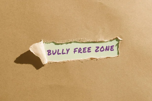 Handstilstext Bully Free Zone Affärsidé Att Vara Respektfull Mot Andra — Stockfoto