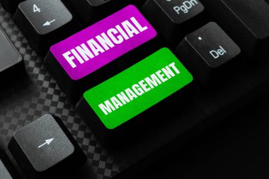 Finansal Yönetimi gösteren metin işareti, mali faaliyetlerin düzenlenmesi ve kontrol edilmesi üzerine yazılmış sözcük