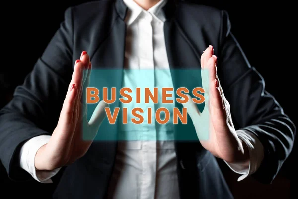 Textschild Mit Business Vision Beschreibung Des Geschäftsansatzes Eine Organisation Erreichen — Stockfoto