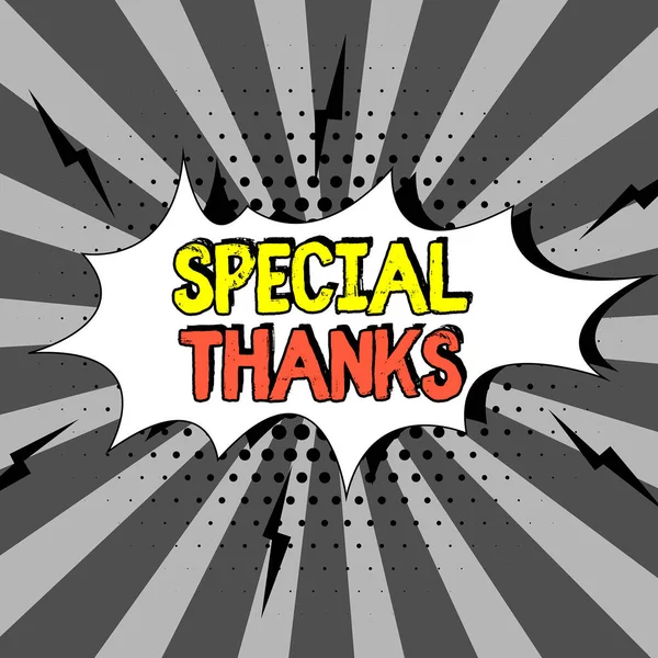 Sinal Texto Mostrando Agradecimentos Especiais Visão Geral Negócio Apreciando Algo — Fotografia de Stock