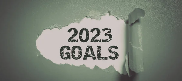 Text Sign Showing 2023 Goals Business Idea Plan Something New — Stock Photo, Image