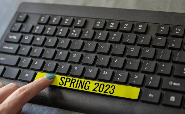 Writing Displaying Text Spring 2023 Business Approach Time Year Flowers — Stock Photo, Image