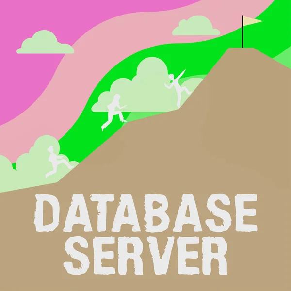 Text Bildtext Presenterar Databas Server Business Overview Använder Databas Program — Stockfoto