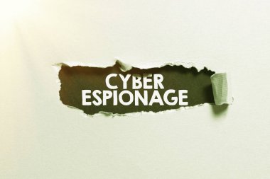Siber Casusluk sunan metin başlığı, izin almadan bilgi ve sırları elde etmek üzerine yazılmış sözcük