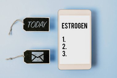 Kavramsal Östrojen, İş Gösterisi Hormon Grubu, kadın özelliklerinin gelişimini teşvik eder