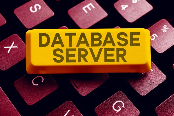 Bildunterschrift Datenbankserver Geschäftsübersicht Verwendet Eine Datenbankanwendung Die Datenbankdienste Anbietet — Stockfoto