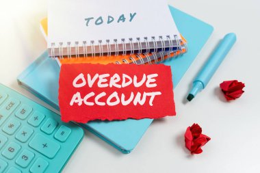 Gecikmiş Hesabı Sunan metin başlığı, Krediler ve ödenmemiş kalan diğer yükümlülükler üzerine Yazılan Sözcük