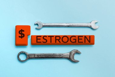 Hormonların kavramsal fotoğraf grubu Östrojen 'in kadın özelliklerinin gelişimini teşvik ettiğini gösteren metin işareti