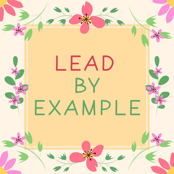 Escrevendo Exibindo Texto Lead Example Internet Concept Leadership Management Mentor — Fotografia de Stock