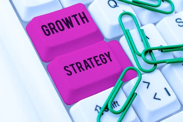 Konzeptionelle Darstellung Wachstumsstrategie Geschäftsansatz Die Methode Mit Der Ein Unternehmen — Stockfoto