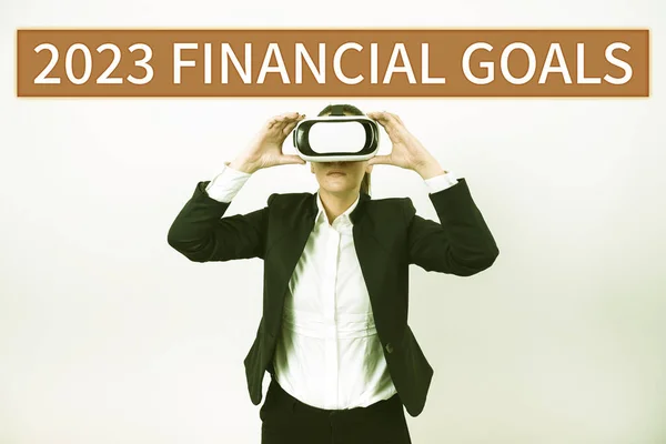 Visualizzazione Concettuale 2023 Obiettivi Finanziari Concetto Internet Massima Qualità Tutti — Foto Stock