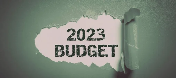 Підпис Відображає Бюджет 2023 Року Бізнес Підхід Фінансовий План Новий — стокове фото