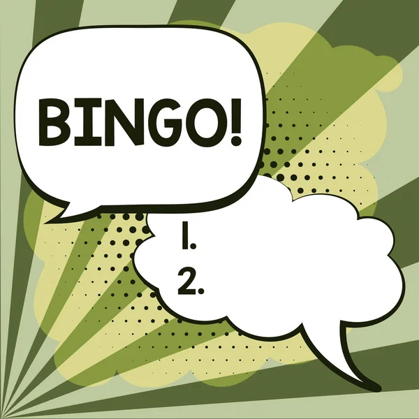Exhibición Conceptual Bingo Palabra Para Juego Ocasión Cual Cada Jugador —  Fotos de Stock
