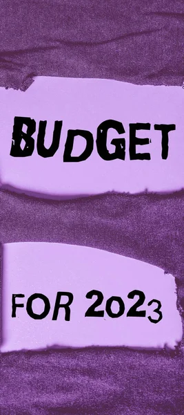 Znak Tekstowy Przedstawiający Budżet 2023 Koncepcja Biznesowa Pisemne Szacunki Dochodów — Zdjęcie stockowe