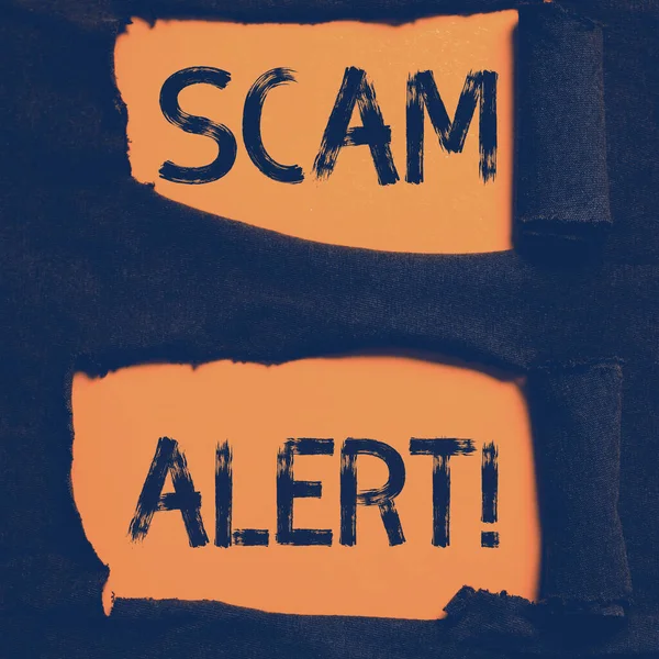Segno Scrittura Mano Scam Alert Concetto Significa Avvertire Qualcuno Sullo — Foto Stock