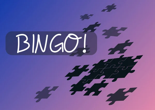 Signo Que Muestra Bingo Juego Del Acercamiento Del Negocio Ocasión — Foto de Stock