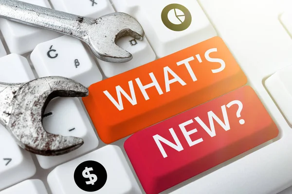 Tekst Bijschrift Presenteren Wat Nieuw Business Concept Vragen Nieuwste Updates — Stockfoto