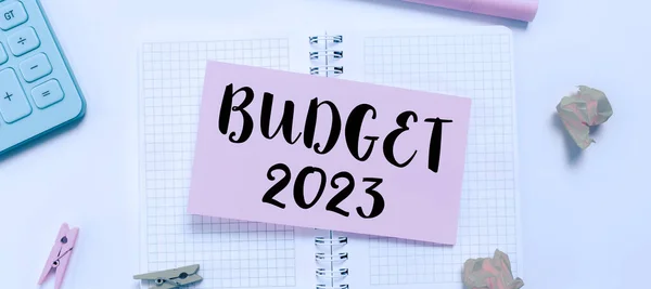 Text Caption Presenting Budget 2023 Conceptual Photo Estimate Income Expenditure — Stock Photo, Image