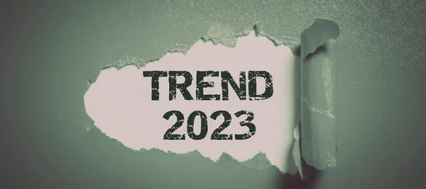 Fogalmi Felirat Trend 2023 Word Írt Dolgokat Amelyek Híresek Rövid — Stock Fotó