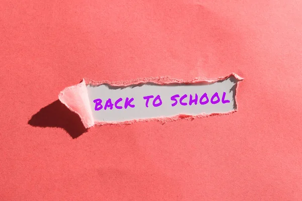 Schild Mit Der Aufschrift Back School Business Ansatz Neue Lehrer — Stockfoto