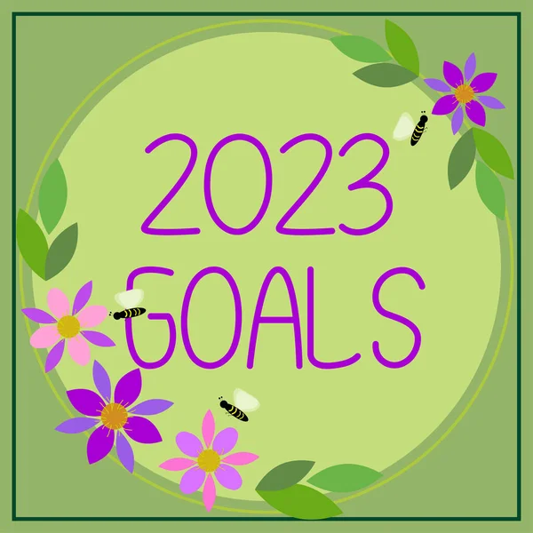 Affichage Conceptuel 2023 Objectifs Concept Signifiant Plan Pour Faire Quelque — Photo