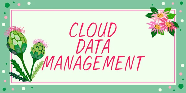 Légende Textuelle Présentant Cloud Data Management Business Showcase Une Technique — Photo