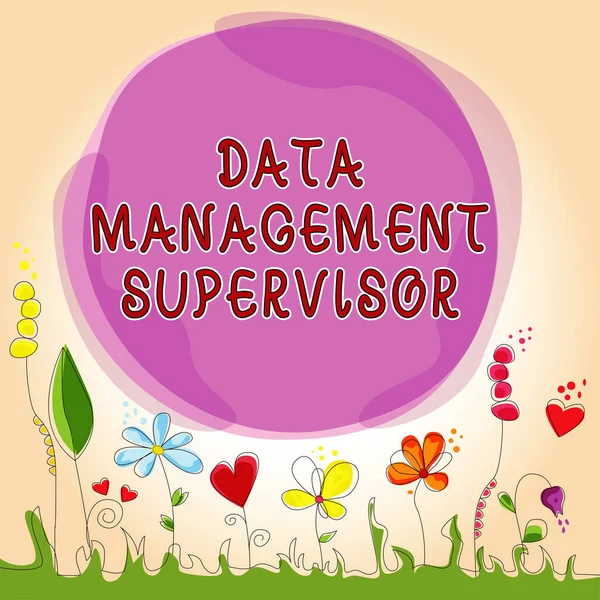 Tekst Met Inspiratie Data Management Supervisor Word Voor Een Efficiënte — Stockfoto