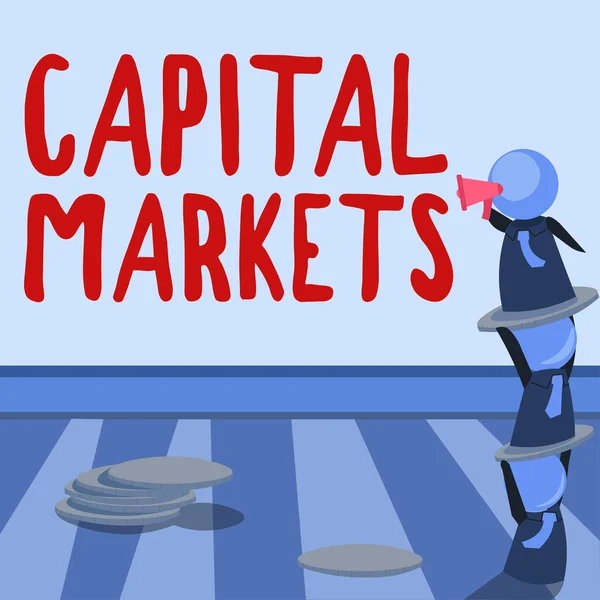 Textschild Mit Kapitalmärkten Geschäftsidee Erlauben Sie Unternehmen Mittel Durch Die — Stockfoto