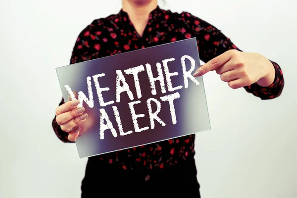 Exibição Conceitual Alerta Meteorológico Visão Geral Negócio Alerta Urgente Sobre — Fotografia de Stock