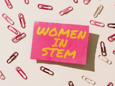 Bilim Teknolojisi Mühendislik Mühendisliği Araştırmacısı Kök ve İş Dünyasında Kadınların Kavramsal Gösterimi